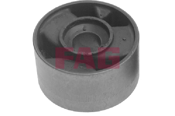 Mounting, control/trailing arm